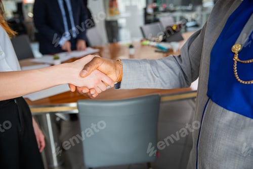 Preview: Handshake between African businessman and Caucasian businesswoman during a meeting