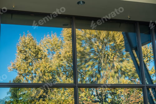 Preview: Building Windows Create An Abstract Reflection Of Autumn Leaves.