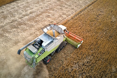 Preview: Aerial view of combine harvester working during harvesting season on large ripe wheat