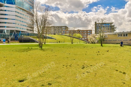 Preview: a city park with buildings in the background