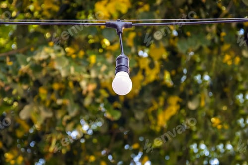 Preview: Street light bulb on blurred background of tree foliage. Street illumination decoration