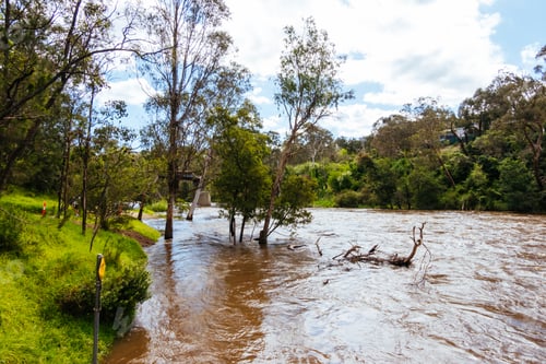 Preview: Yarra River Flooding in Warrandyte Australia