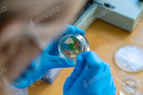 Preview: laboratory jars with plants. Selective focus.