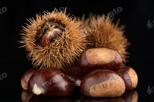 Preview: Chestnuts on a black reflective background