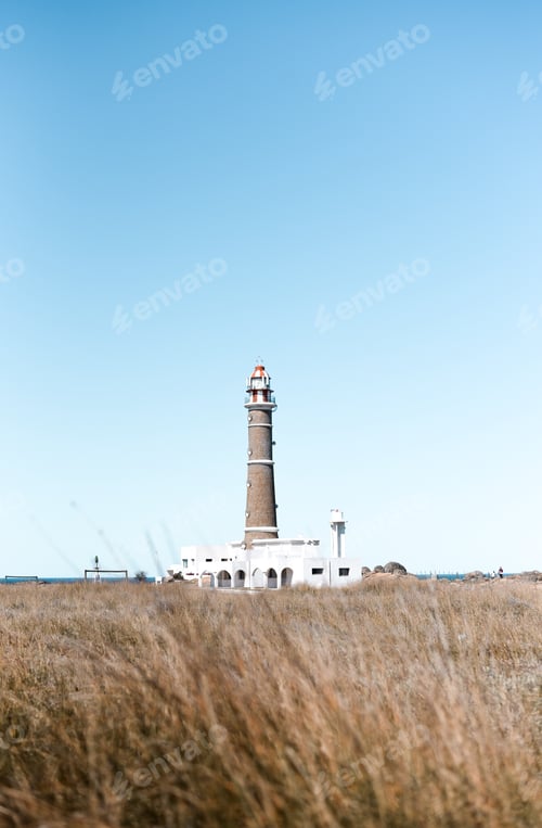 Preview: Vertical shot of Cabo Polonio National Park in Uruguay