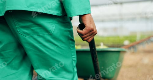 Preview: Hand, wheelbarrow and a farmer in a greenhouse for growth, agriculture or sustainability in season.