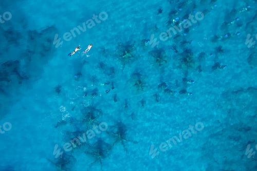Preview: Drone aerial of scuba divers diving in the sea.