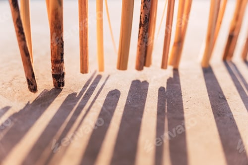 Preview: Natural background with backlit sticks that cast shadow lines on the ground blurred.