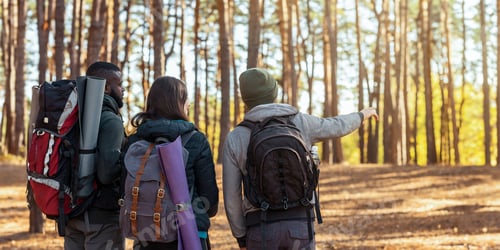 Preview: Friends hikers walking by forest, guy pointing at copy space