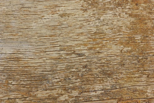 Preview: Texture Of A Stone Wall For A Designer