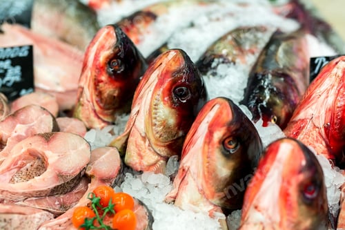 Preview: Raw fish ready for sale in the supermarket