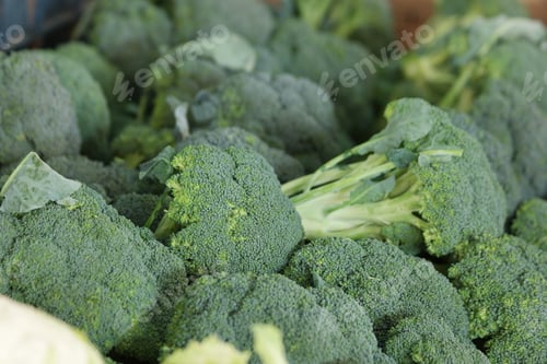 Preview: Fresh broccoli background.