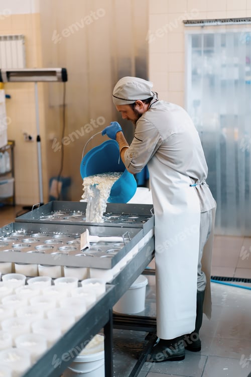 Preview: cheese maker pours fresh cheese into molds for making brie cheese craft cheese production