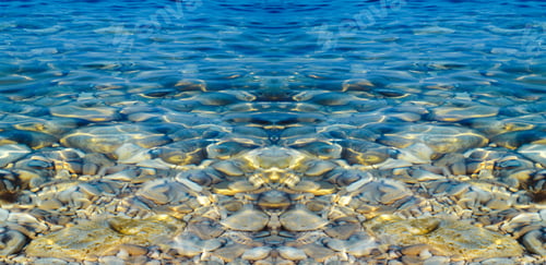 Preview: tropical sea