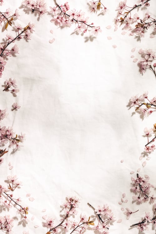 Preview: Spring border with cherry blossoms on white linen napkin