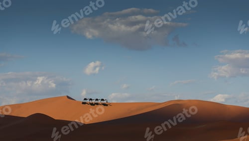 Preview: Camel caravan on desert horizon, Dubai, United Arab Emirates