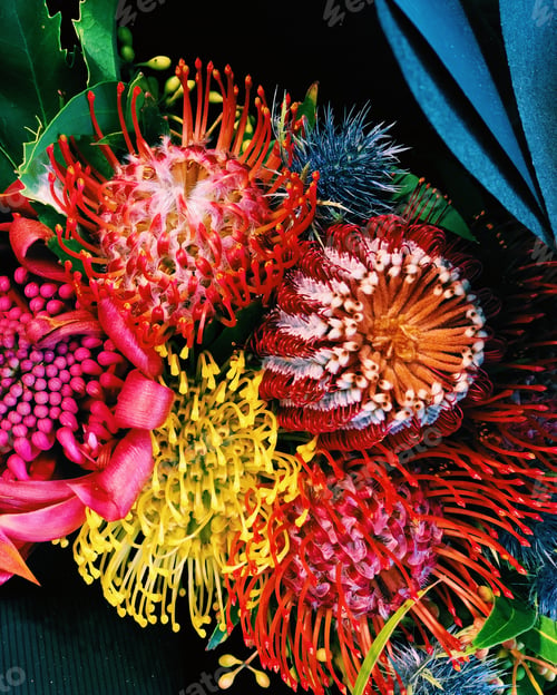 Preview: Beautiful exotic flowers