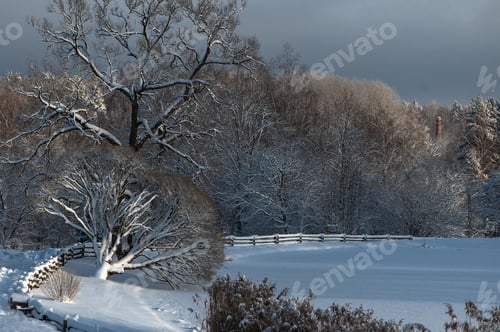 Preview: Snow-covered trees and wooden fence, blue sky, winter contrasts