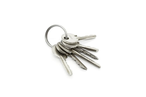 Preview: Silver keys on the ring on white background