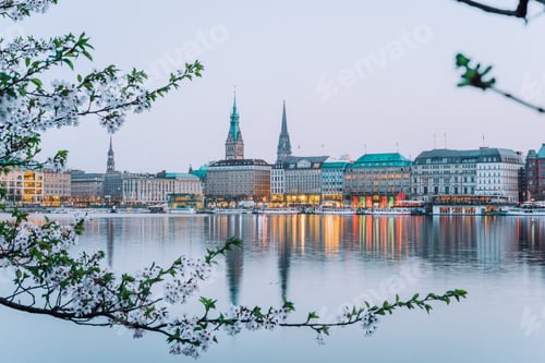 Preview: Beautiful view of Hamburg town hall - Rathaus and Alster river at spring earning evening