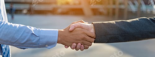 Preview: Close up hands Diverse multiethnic Partners team together. Teamwork group of multiracial people