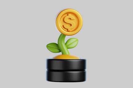 Preview: Money plant in black pot