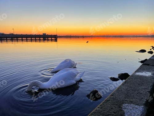 Preview: Romantic sunset on a river bank