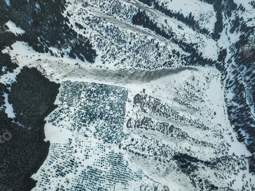 Preview: Snowy mountains with fir trees