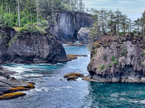 Preview: Seastack and trees in Cape Flattery.