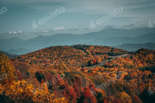 Preview: High angle shot of a colorful autumn forest under the gloomy sky