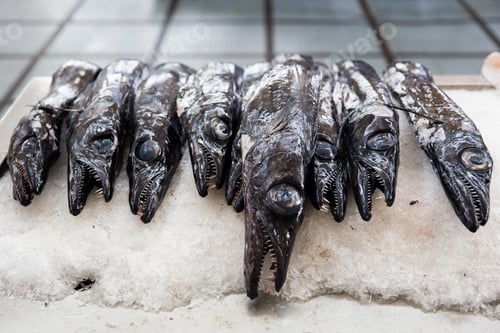 Preview: Espada fish on traditional fish market in Funchal at Madeira island, Portugal