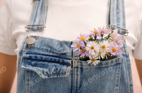 Preview: Woman with beautiful tender flowers in denim jumpsuit's pocket, closeup
