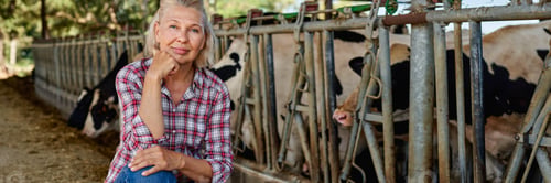Preview: Woman On Rural Farm With Dairy Cow