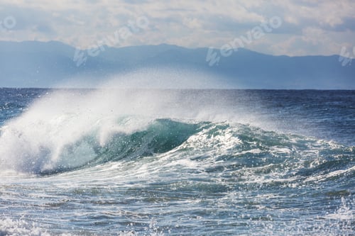 Preview: Wave