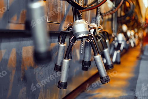 Preview: Close up of a milking device in cowshed farm
