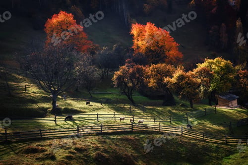 Preview: Amazing rural scene on autumn valley