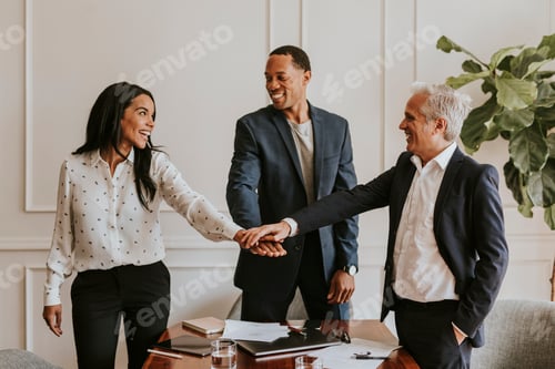 Preview: Business partners shaking hands
