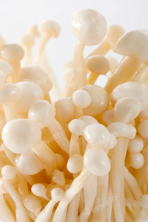 Enoki Mushrooms Close Up on a White Background