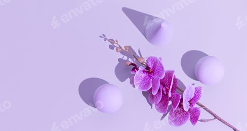 Preview: Abstract geometry and flowers minimal background. Pastel purple trendy colours. Still life concept