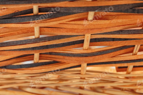 Preview: Beautiful texture of willow branches.