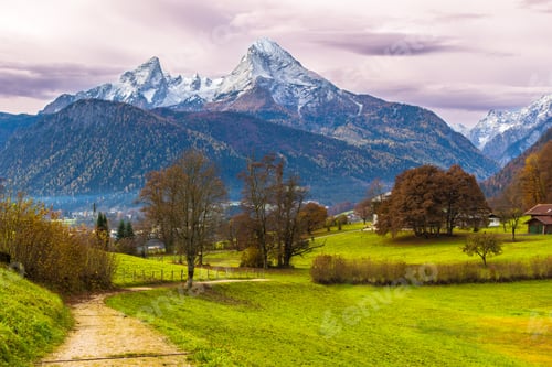 Preview: Green meadow and Watzmann mountain