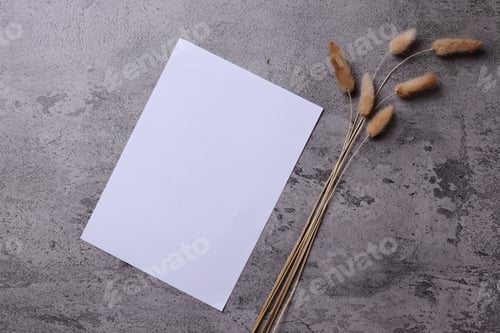 Preview: white paper mockup