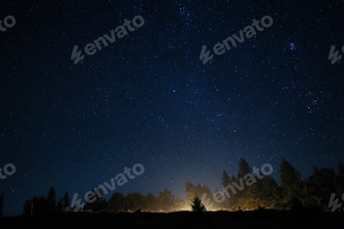 Preview: Beautiful view of dark forest under starry sky at night