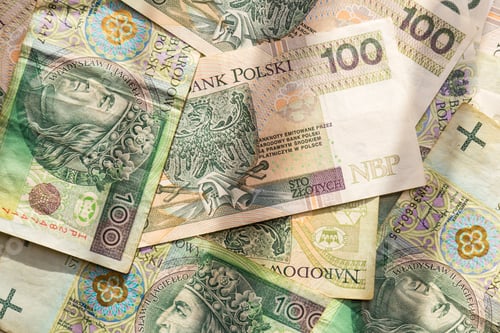Preview: Polish zloty, background