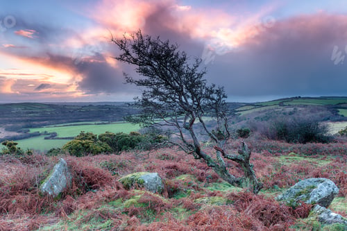 Preview: Sunrise in Cornwall