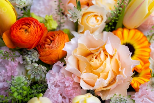 Preview: Set of flower box with different flower