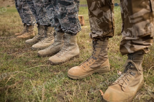 Preview: Low-section of military soldiers standing in line