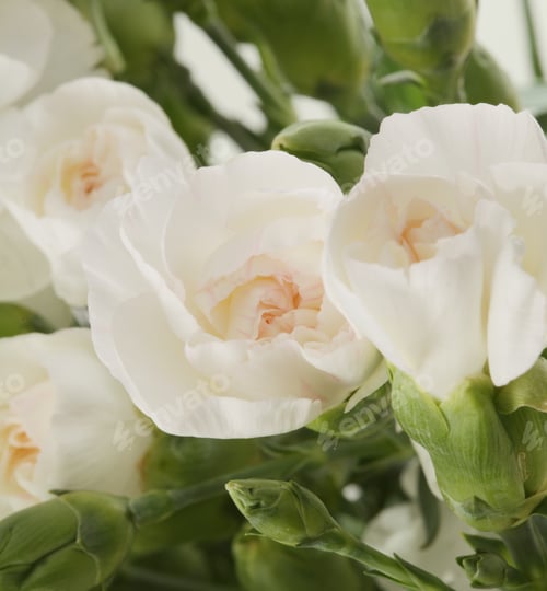 Preview: Flower bouquet