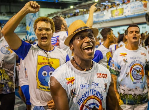 Preview: Rio de Janeiro, Brazil - February 13 2014: Fans cheering in samba school