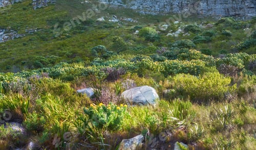 Preview: Trails of Table Mountain National Park